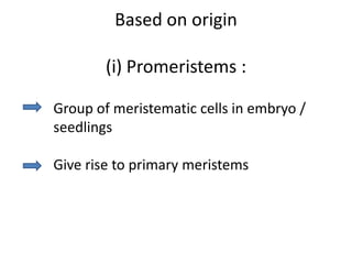 Based on origin

        (i) Promeristems :

Group of meristematic cells in embryo /
seedlings

Give rise to primary meristems
 