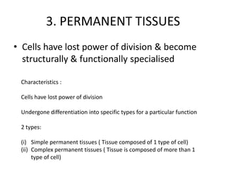 3. PERMANENT TISSUES
• Cells have lost power of division & become
  structurally & functionally specialised

 Characteristics :

 Cells have lost power of division

 Undergone differentiation into specific types for a particular function

 2 types:

 (i) Simple permanent tissues ( Tissue composed of 1 type of cell)
 (ii) Complex permanent tissues ( Tissue is composed of more than 1
      type of cell)
 