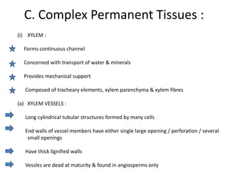 C. Complex Permanent Tissues :
(i) XYLEM :

  Forms continuous channel

  Concerned with transport of water & minerals

  Provides mechanical support

   Composed of tracheary elements, xylem parenchyma & xylem fibres

(a) XYLEM VESSELS :

   Long cylindrical tubular structures formed by many cells

   End walls of vessel members have either single large opening / perforation / several
    small openings

   Have thick lignified walls

   Vessles are dead at maturity & found in angiosperms only
 
