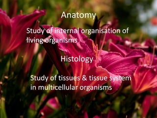 Anatomy
Study of internal organisation of
living organisms

          Histology

 Study of tissues & tissue system
 in multicellular organisms
 