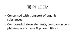 (ii) PHLOEM
• Concerned with transport of organic
  substances
• Composed of sieve elements, companion cells,
  phloem parenchyma & phloem fibres
 