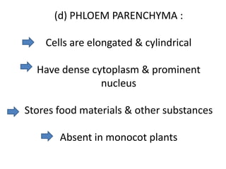 (d) PHLOEM PARENCHYMA :

    Cells are elongated & cylindrical

  Have dense cytoplasm & prominent
               nucleus

Stores food materials & other substances

       Absent in monocot plants
 
