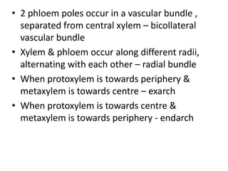 • 2 phloem poles occur in a vascular bundle ,
  separated from central xylem – bicollateral
  vascular bundle
• Xylem & phloem occur along different radii,
  alternating with each other – radial bundle
• When protoxylem is towards periphery &
  metaxylem is towards centre – exarch
• When protoxylem is towards centre &
  metaxylem is towards periphery - endarch
 