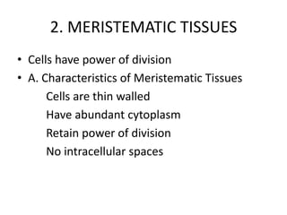 2. MERISTEMATIC TISSUES
• Cells have power of division
• A. Characteristics of Meristematic Tissues
      Cells are thin walled
      Have abundant cytoplasm
      Retain power of division
      No intracellular spaces
 