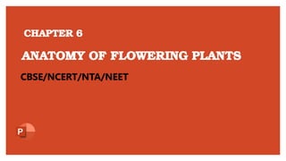 ANATOMY OF FLOWERING PLANTS
CHAPTER 6
CBSE/NCERT/NTA/NEET
 