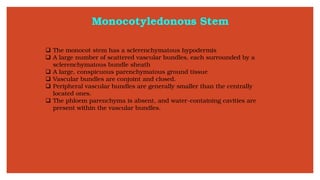 Monocotyledonous Stem
❑ The monocot stem has a sclerenchymatous hypodermis
❑ A large number of scattered vascular bundles, each surrounded by a
sclerenchymatous bundle sheath
❑ A large, conspicuous parenchymatous ground tissue
❑ Vascular bundles are conjoint and closed.
❑ Peripheral vascular bundles are generally smaller than the centrally
located ones.
❑ The phloem parenchyma is absent, and water-containing cavities are
present within the vascular bundles.
 