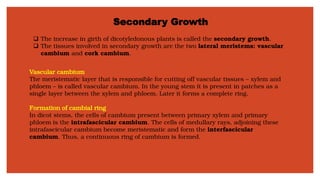 Secondary Growth
❑ The increase in girth of dicotyledonous plants is called the secondary growth.
❑ The tissues involved in secondary growth are the two lateral meristems: vascular
cambium and cork cambium.
Vascular cambium
The meristematic layer that is responsible for cutting off vascular tissues – xylem and
phloem – is called vascular cambium. In the young stem it is present in patches as a
single layer between the xylem and phloem. Later it forms a complete ring.
Formation of cambial ring
In dicot stems, the cells of cambium present between primary xylem and primary
phloem is the intrafascicular cambium. The cells of medullary rays, adjoining these
intrafascicular cambium become meristematic and form the interfascicular
cambium. Thus, a continuous ring of cambium is formed.
 