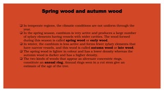 Spring wood and autumn wood
❑ In temperate regions, the climatic conditions are not uniform through the
year.
❑ In the spring season, cambium is very active and produces a large number
of xylary elements having vessels with wider cavities. The wood formed
during this season is called spring wood or early wood.
❑ In winter, the cambium is less active and forms fewer xylary elements that
have narrow vessels, and this wood is called autumn wood or late wood.
❑ The spring wood is lighter in colour and has a lower density whereas the
autumn wood is darker and has a higher density.
❑ The two kinds of woods that appear as alternate concentric rings,
constitute an annual ring. Annual rings seen in a cut stem give an
estimate of the age of the tree.
 