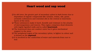 Heart wood and sap wood
❑ In old trees, the greater part of secondary xylem is dark brown due to
deposition of organic compounds like tannins, resins, oils, gums,
aromatic substances and essential oils in the central or innermost
layers of the stem.
❑ These substances make it hard, durable and resistant to the attacks
of microorganisms and insects. This region comprises dead elements
with highly lignified walls and is called heartwood.
❑ The heartwood does not conduct water but it gives mechanical
support to the stem.
❑ The peripheral region of the secondary xylem, is lighter in colour and
is known as the sapwood.
❑ It is involved in the conduction of water and minerals from root to
leaf.
 