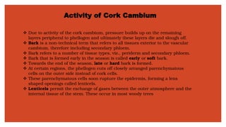 Activity of Cork Cambium
❖ Due to activity of the cork cambium, pressure builds up on the remaining
layers peripheral to phellogen and ultimately these layers die and slough off.
❖ Bark is a non-technical term that refers to all tissues exterior to the vascular
cambium, therefore including secondary phloem.
❖ Bark refers to a number of tissue types, viz., periderm and secondary phloem.
❖ Bark that is formed early in the season is called early or soft bark.
❖ Towards the end of the season, late or hard bark is formed.
❖ At certain regions, the phellogen cuts off closely arranged parenchymatous
cells on the outer side instead of cork cells.
❖ These parenchymatous cells soon rupture the epidermis, forming a lens
shaped openings called lenticels.
❖ Lenticels permit the exchange of gases between the outer atmosphere and the
internal tissue of the stem. These occur in most woody trees
 