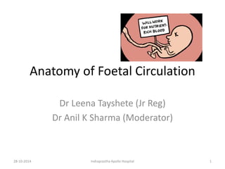 Anatomy of Foetal Circulation
Dr Leena Tayshete (Jr Reg)
Dr Anil K Sharma (Moderator)
28-10-2014 Indraprastha Apollo Hospital 1
 