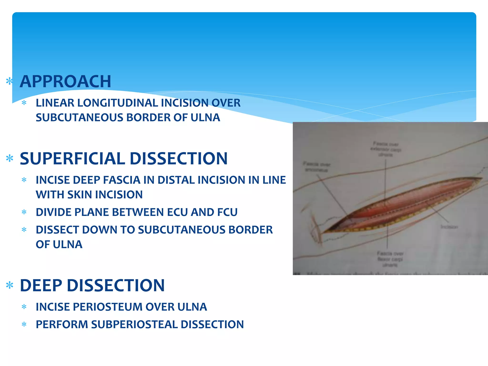 Anatomy of forearm | PPTX