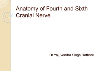 Anatomy of Fourth and Sixth
Cranial Nerve
Dr.Yajuvendra Singh Rathore
 