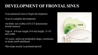 Frontal Sinus Development Anatomy of Frontal maxillary and sphenoid sinuses.pptx