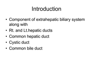 Introduction
• Component of extrahepatic biliary system
along with
• Rt. and Lt.hepatic ducts
• Common hepatic duct
• Cystic duct
• Common bile duct
 