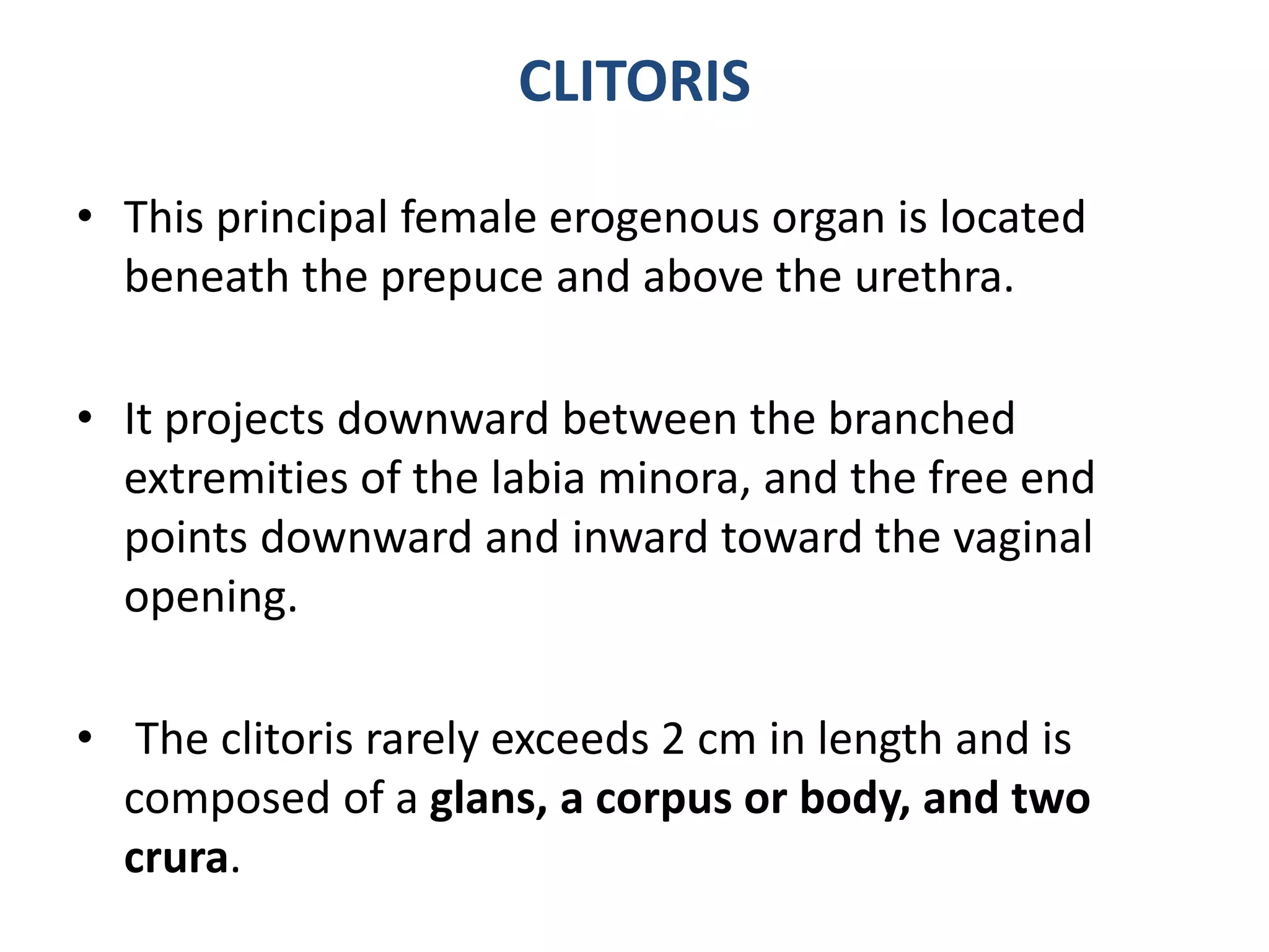 anatomy-of-female-external-genital-tract-urethra-urinary-bladder-pptx