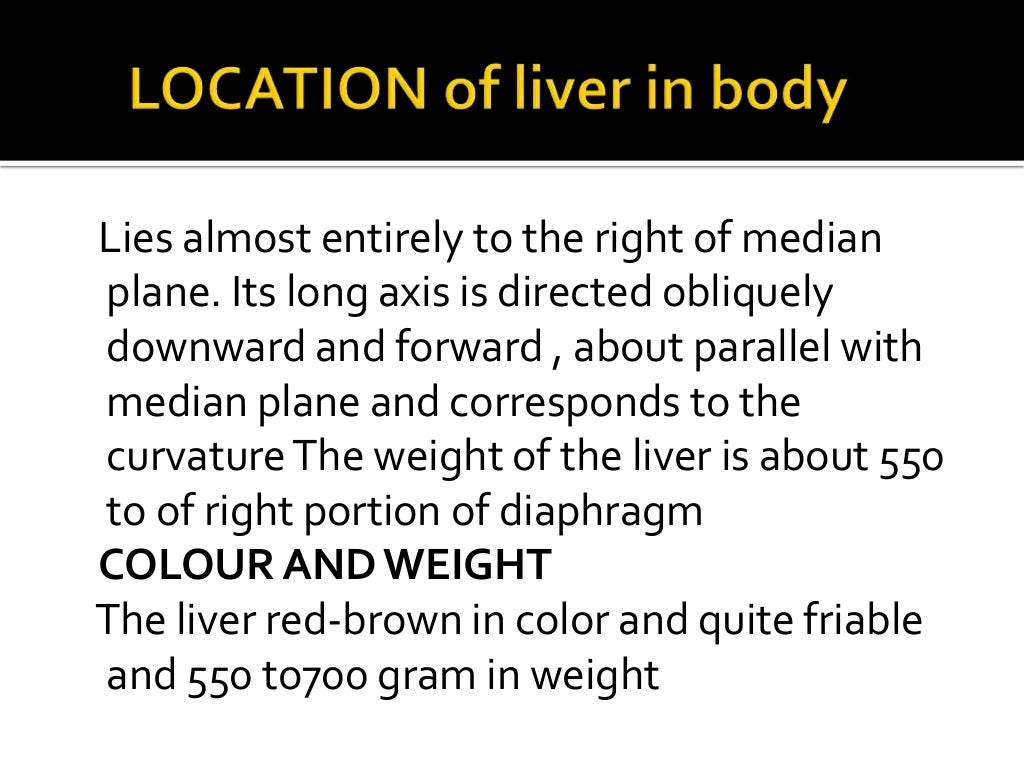 Anatomy of goat liver