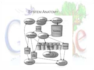 SYSTEM ANATOMY
 