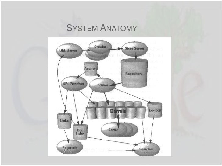 Anatomy of google
