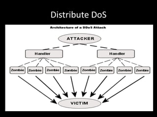 Distribute DoS
 