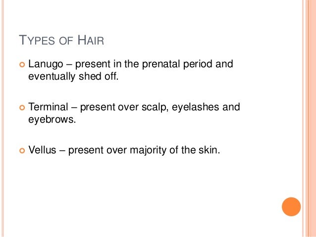 Anatomy Of Hair And Hair Cycle