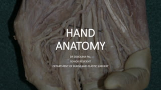 ANATOMY OF HAND and the basics in play surgery | PPTX