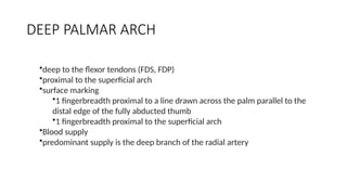 ANATOMY OF HAND and the basics in play surgery | PPTX