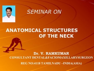 SEMINAR ON
ANATOMICAL STRUCTURES
OF THE NECK
Dr. V. RAMKUMAR
CONSULTANT DENTAL&FACIOMAXILLARYSURGEON
REG NO:4118 TAMILNADU –INDIA(ASIA)
 