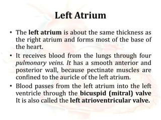 anatomy and physiology of heart..ppt.... | PPSX