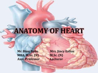 ANATOMY OF HEART
Mr. Binu Babu
MBA, M.Sc. (N)
Asst. Professor
Mrs. Jincy Ealias
M.Sc. (N)
Lecturer
 
