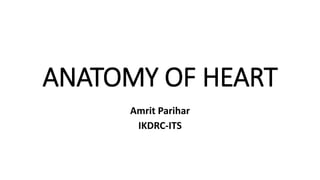 ANATOMY OF HEART
Amrit Parihar
IKDRC-ITS
 