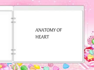 ANATOMY OF
HEART
 