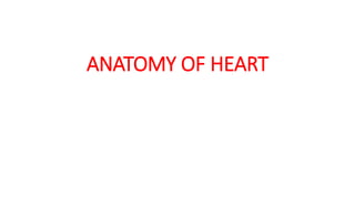 ANATOMY OF HEART
 