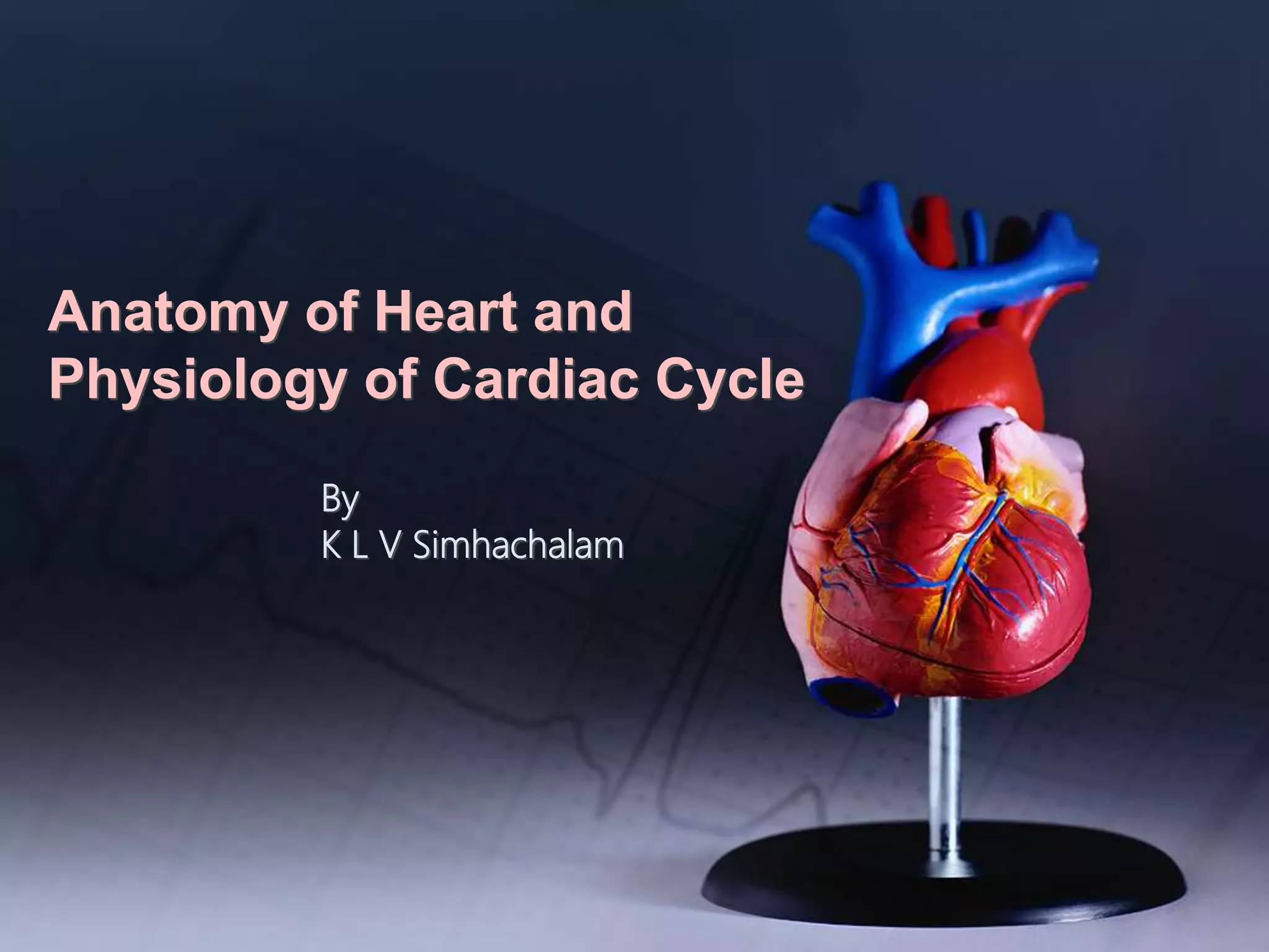 Anatomy of heart and physiology of cardiac cycle by simhahchalam Biology Diagrams