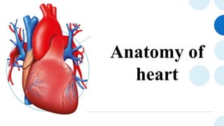 Anatomy of
heart
 