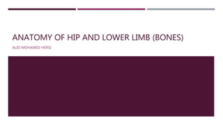 ANATOMY OF HIP AND LOWER LIMB (BONES)
ALIO MOHAMED HERSI
 