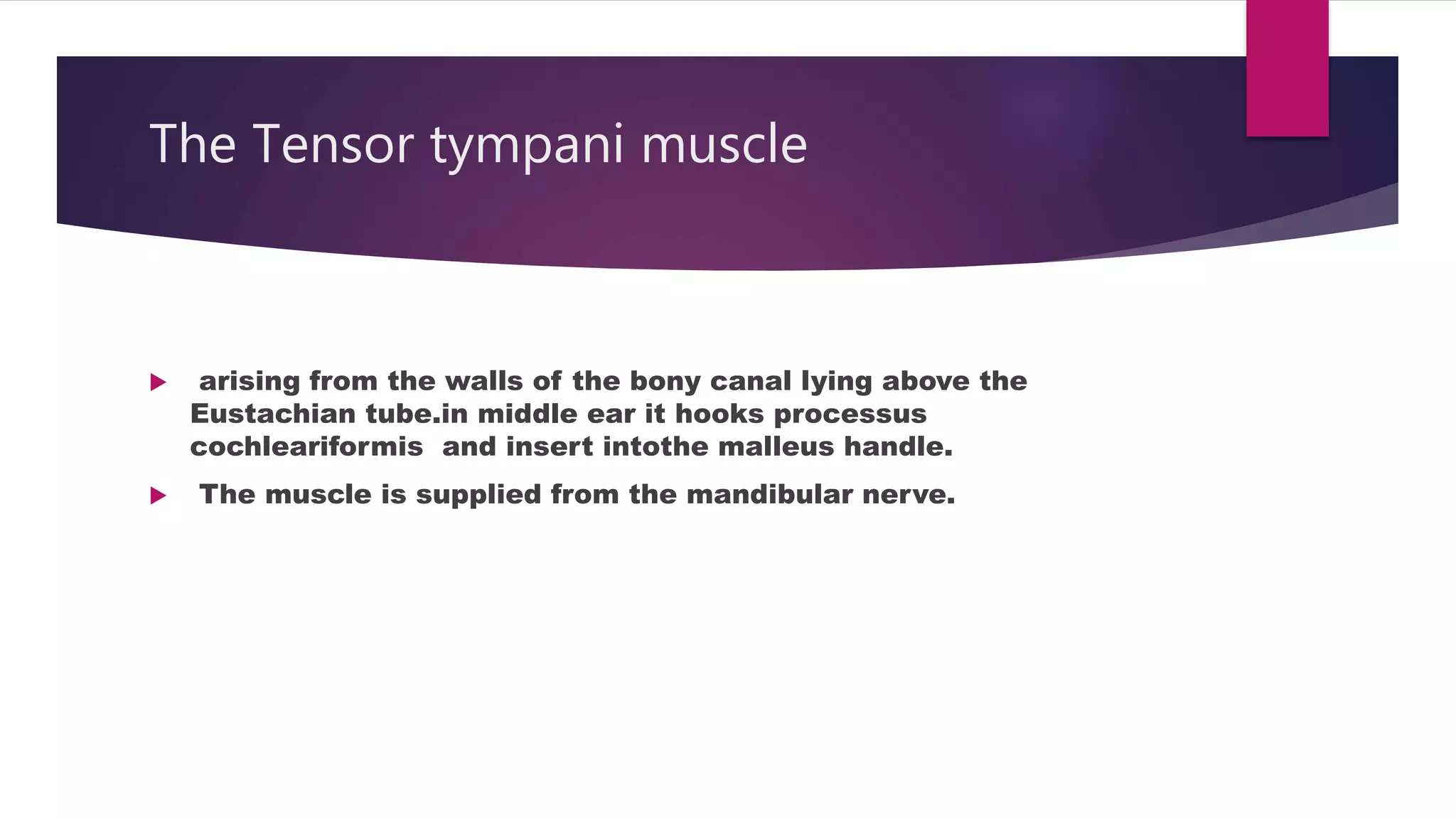 Anatomy of human ear | PPTX