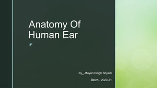 anatomy of human ear and its disease with parts | PPTX