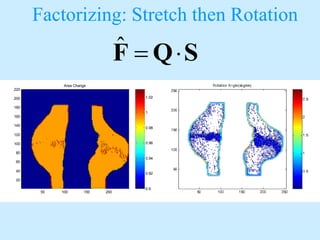 Anatomy of human motion | PDF