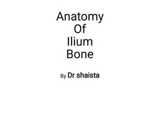 Anatomy
Of
Ilium
Bone
By Dr shaista
 