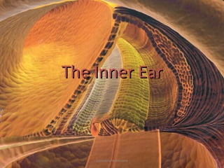 The Inner EarThe Inner Ear
pgmedicalworld.com
 