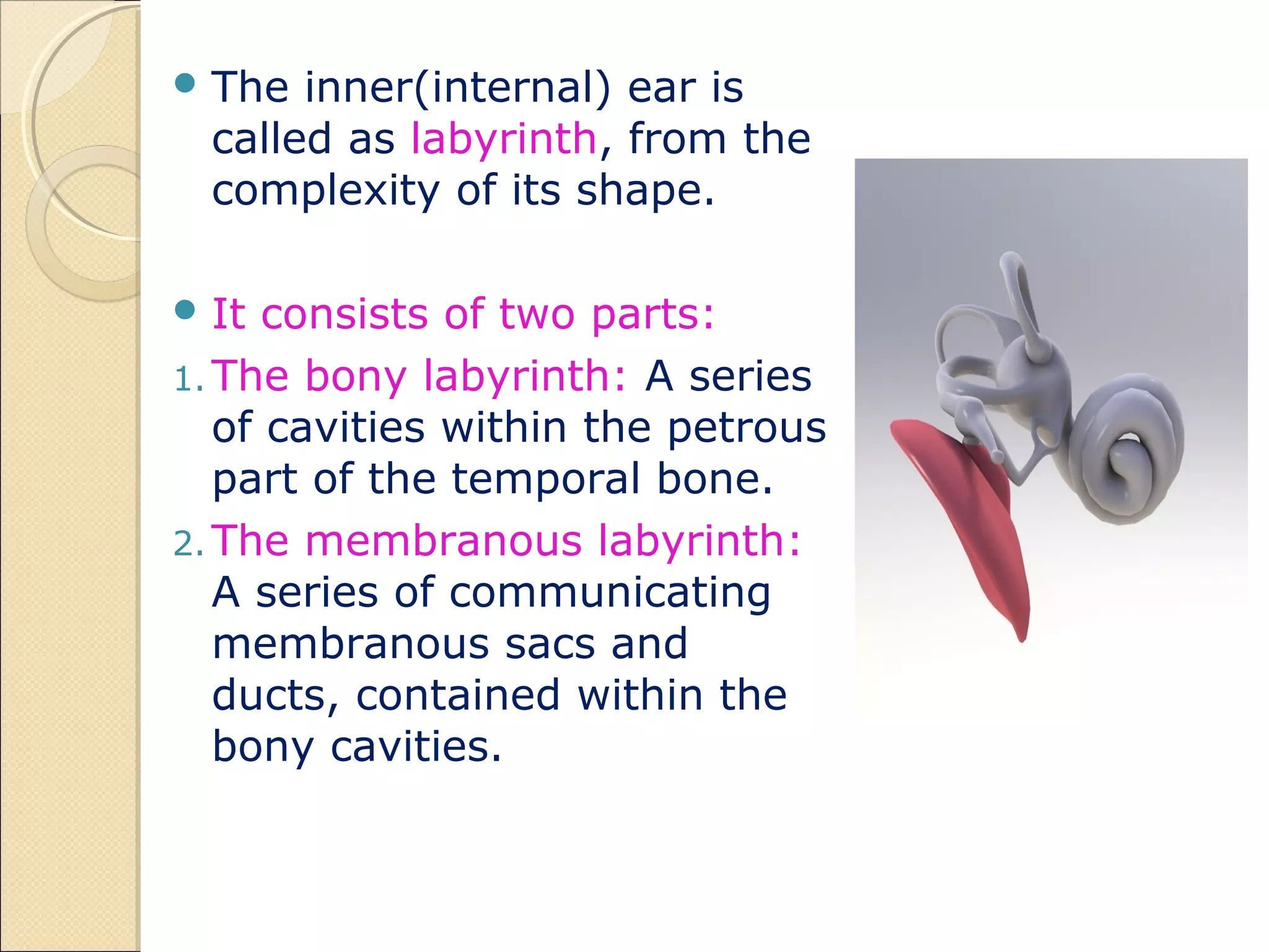 Anatomy of inner ear | PPT
