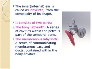 The Inner Ear - Bony Labyrinth - Membranous Labryinth - TeachMeAnatomy