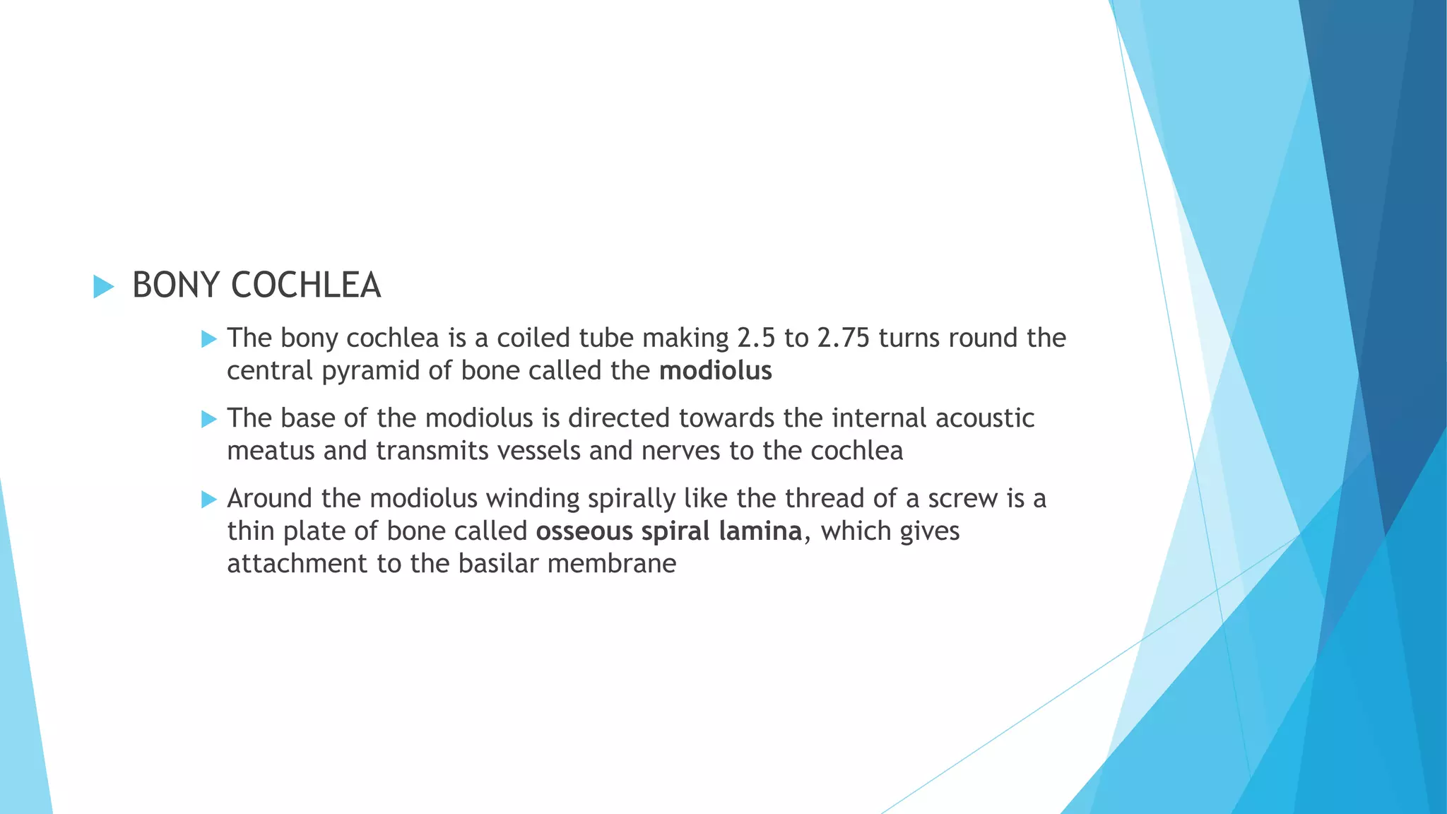  BONY COCHLEA
 The bony cochlea is a coiled tube making 2.5 to 2.75 turns round the
central pyramid of bone called the modiolus
 The base of the modiolus is directed towards the internal acoustic
meatus and transmits vessels and nerves to the cochlea
 Around the modiolus winding spirally like the thread of a screw is a
thin plate of bone called osseous spiral lamina, which gives
attachment to the basilar membrane
 