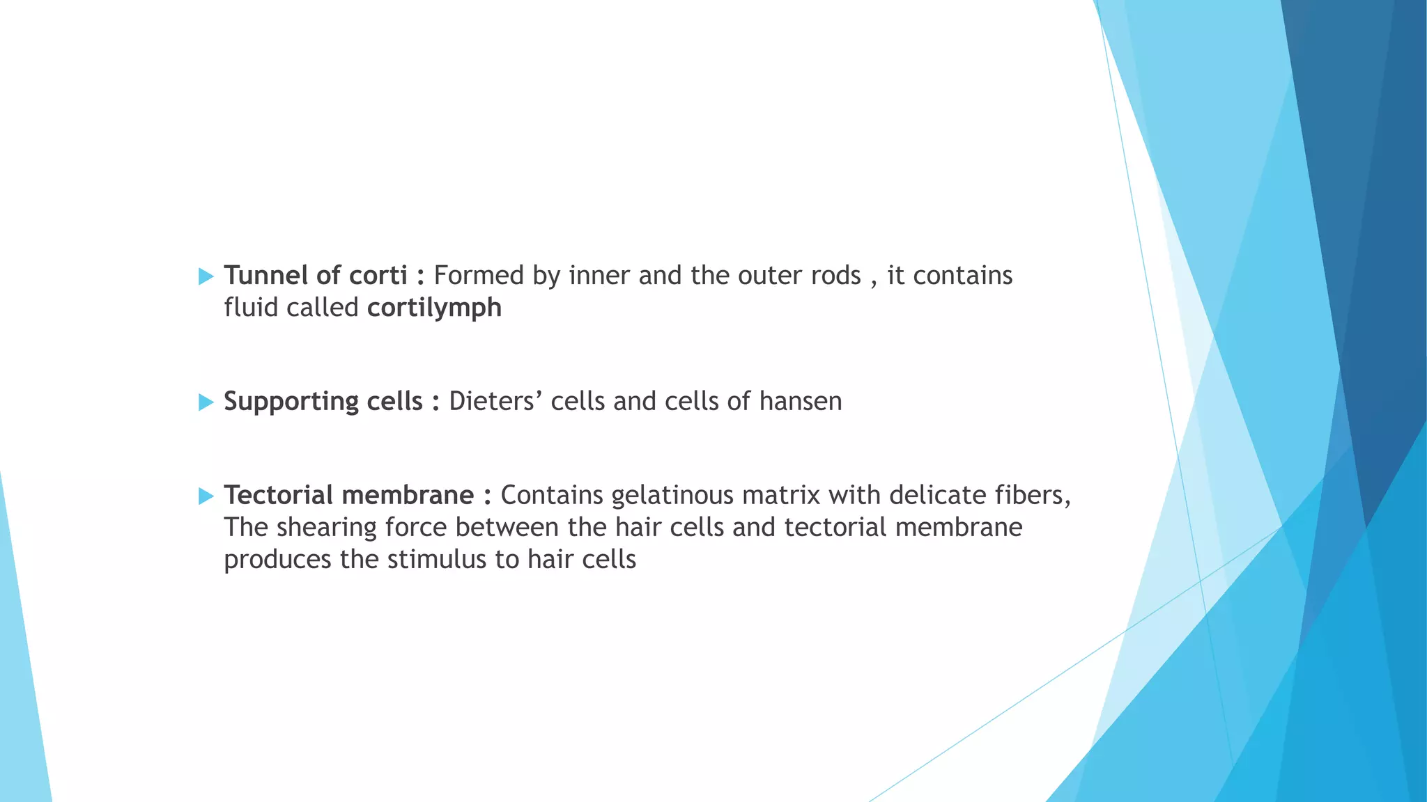  Tunnel of corti : Formed by inner and the outer rods , it contains
fluid called cortilymph
 Supporting cells : Dieters’ cells and cells of hansen
 Tectorial membrane : Contains gelatinous matrix with delicate fibers,
The shearing force between the hair cells and tectorial membrane
produces the stimulus to hair cells
 