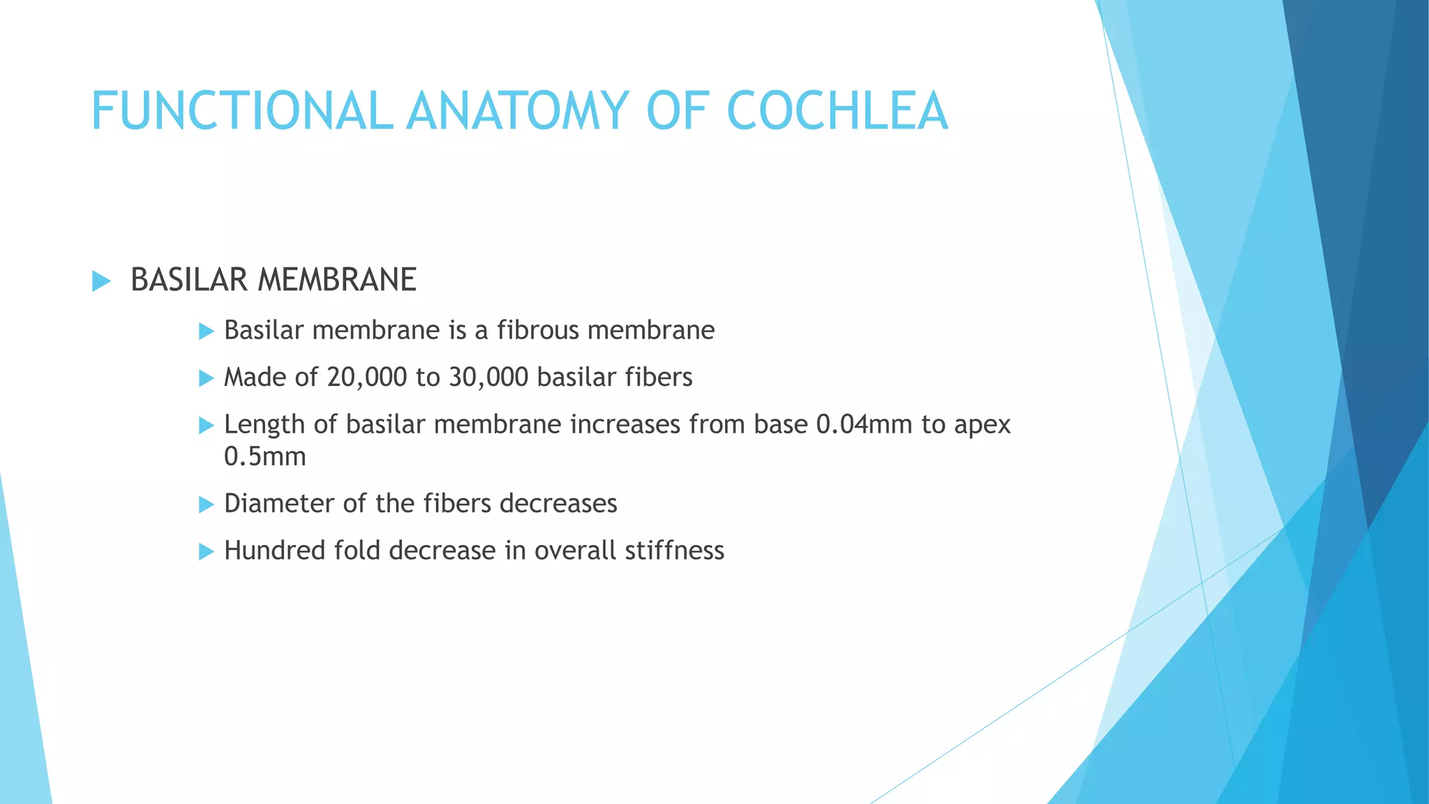 FUNCTIONAL ANATOMY OF COCHLEA
 BASILAR MEMBRANE
 Basilar membrane is a fibrous membrane
 Made of 20,000 to 30,000 basilar fibers
 Length of basilar membrane increases from base 0.04mm to apex
0.5mm
 Diameter of the fibers decreases
 Hundred fold decrease in overall stiffness
 