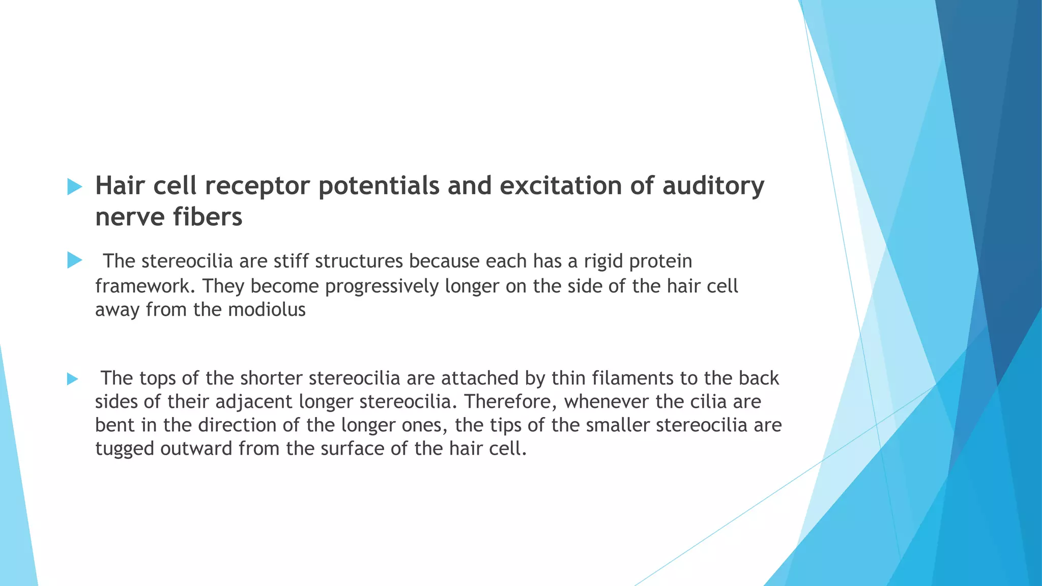  Hair cell receptor potentials and excitation of auditory
nerve fibers
 The stereocilia are stiff structures because each has a rigid protein
framework. They become progressively longer on the side of the hair cell
away from the modiolus
 The tops of the shorter stereocilia are attached by thin filaments to the back
sides of their adjacent longer stereocilia. Therefore, whenever the cilia are
bent in the direction of the longer ones, the tips of the smaller stereocilia are
tugged outward from the surface of the hair cell.
 