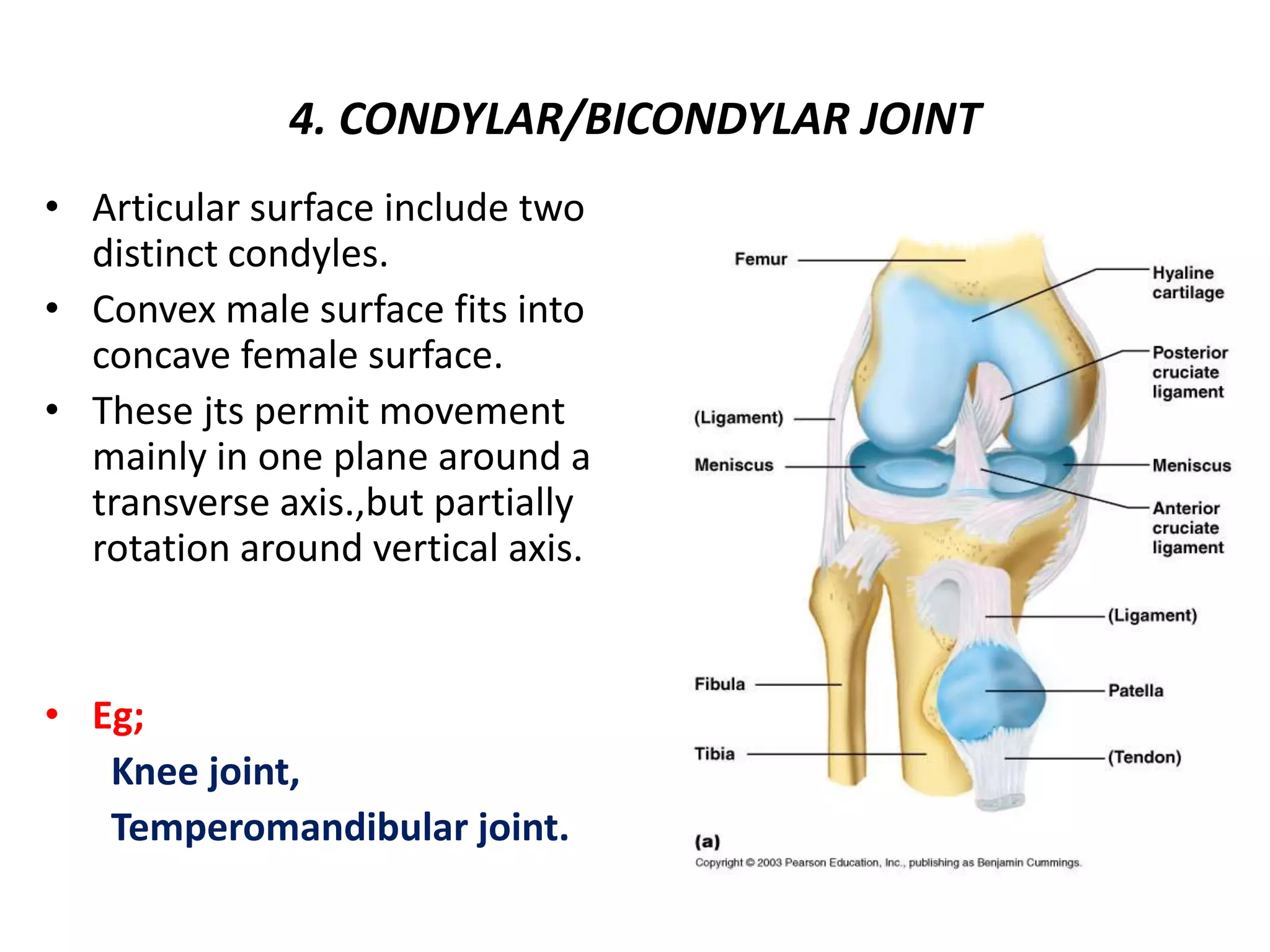 ANATOMY OF JOINTS.pptx