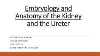 Embryology and
Anatomy of the Kidney
and the Ureter
DR. HASSAN ASKARI
HOUSE OFFICER
UROLOGY II
MAYO HOSPITAL, LAHORE
 