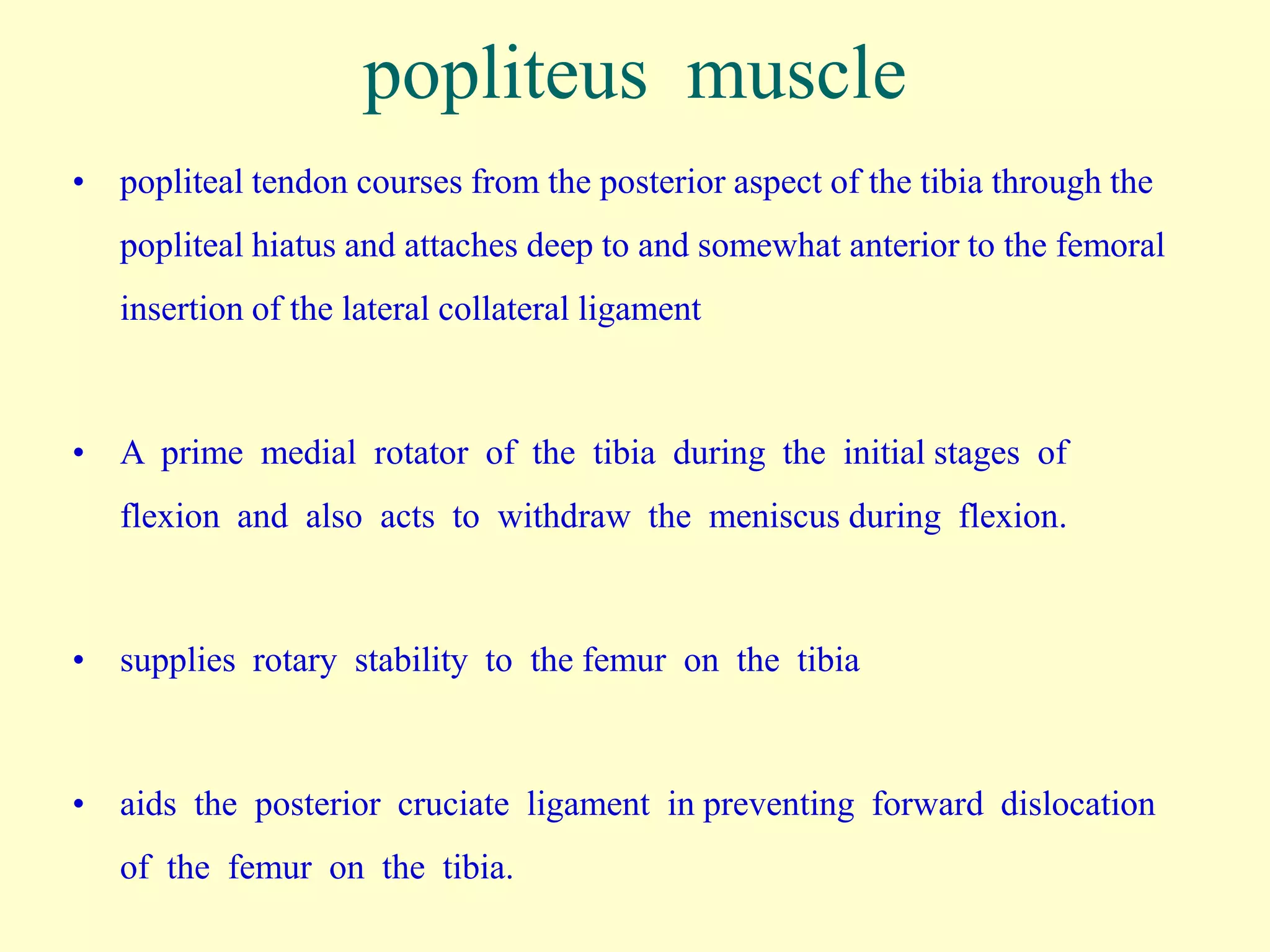 Anatomy of knee | PPTX